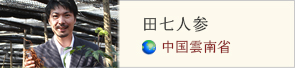 やさしさ.netコラム 田七人参