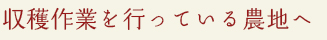 収穫作業を行っている農地へ