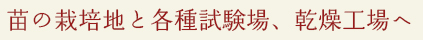 苗の栽培地と各種試験場、乾燥工場へ