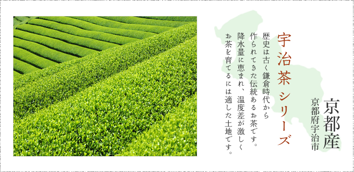 宇治茶